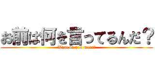 お前は何を言ってるんだ？ (What do you mean?)