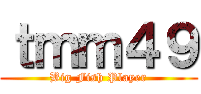 ｔｍｍ４９ (Big Fish Player)