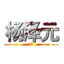 杨泽元 (椭圆)