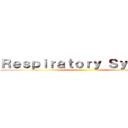 Ｒｅｓｐｉｒａｔｏｒｙ Ｓｙｓｔｅｍ ()