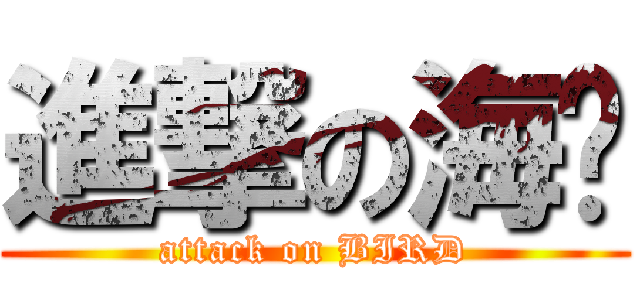 進撃の海鷗 (attack on BIRD)