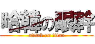 哈韓の眼幹 (attack on titan)