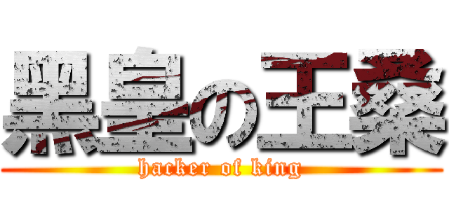 黑皇の王桑 (hacker of king)