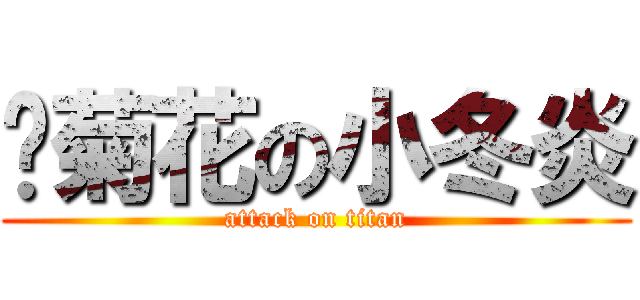 卖菊花の小冬炎 (attack on titan)