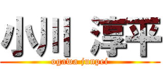 小川 淳平 (ogawa junpei)