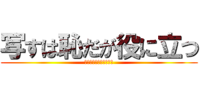 写すは恥だが役に立つ (逃げるは恥だが役に立つ)