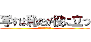 写すは恥だが役に立つ (逃げるは恥だが役に立つ)