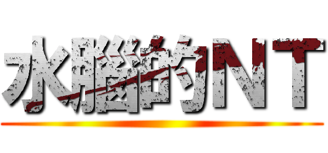 水腦的ＮＴ ()