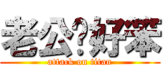 老公你好笨 (attack on titan)