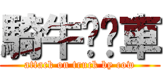 騎牛尬卡車 (attack on truck by cow)