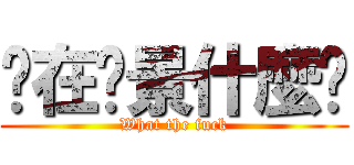 你在佈景什麼啦 (What the fuck)