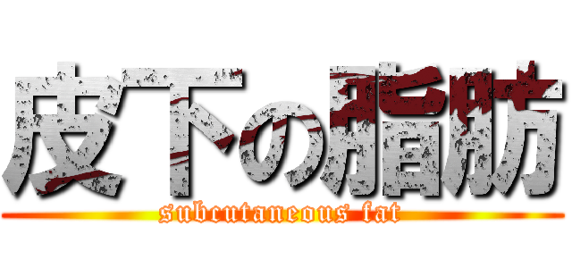 皮下の脂肪 (subcutaneous fat)