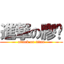 進撃の膠婷 (attack on titan)