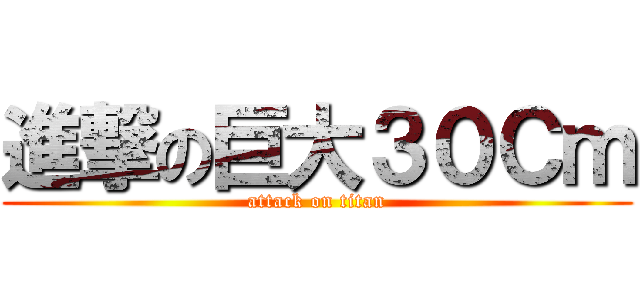 進撃の巨大３０Ｃｍ (attack on titan)