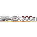 進撃の巨大３０Ｃｍ (attack on titan)