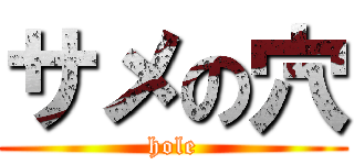 サメの穴 (hole)