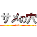 サメの穴 (hole)