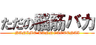 ただの脳筋バカ (NANIMO KANNGAETENAI)