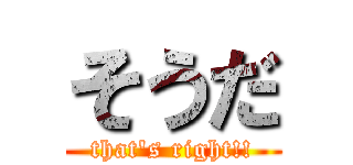 そうだ (that\'s right!!)