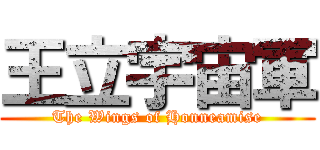 王立宇宙軍 (The Wings of Honneamise)