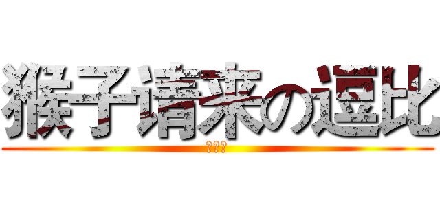 猴子请来の逗比 (赵旭东)
