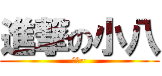 進撃の小八 (嗷嗚~)