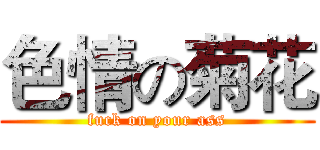 色情の菊花 (fuck on your ass)