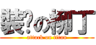 裝傻の柳丁 (attack on titan)