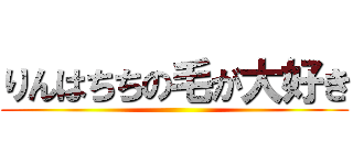 りんはちちの毛が大好き ()