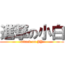 進撃の小白 (attack on JY)