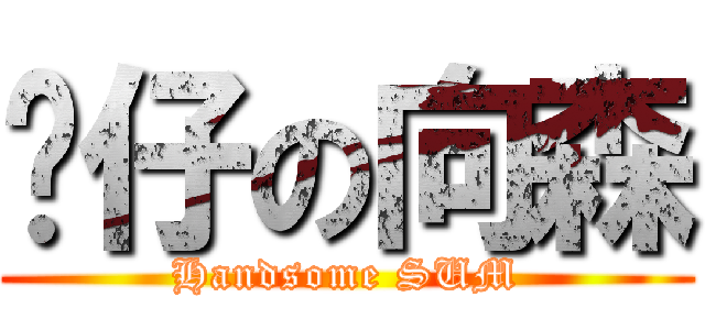 靚仔の向森 (Handsome SUM)