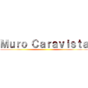 Ｍｕｒｏ Ｃａｒａｖｉｓｔａ ()