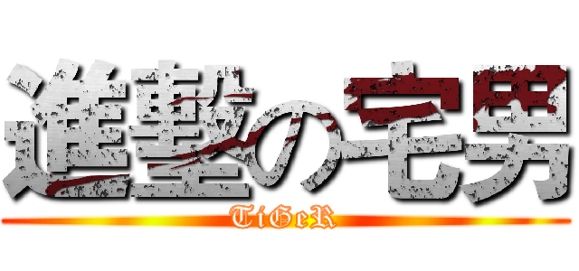 進墼の宅男 (TiGeR)