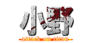 小野 (attack on titan)