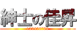 紳士の佳昇 (123456789)