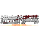 进击的芦苇 (fighting luwei)
