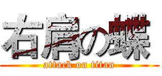 右肩の蝶  (attack on titan)