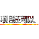 项目还可以、 ()