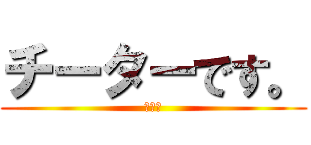 チーターです。 (いぶき)