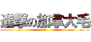 進撃の加拿大毛 (奇雲)