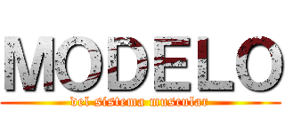 ＭＯＤＥＬＯ (del sistema muscular)