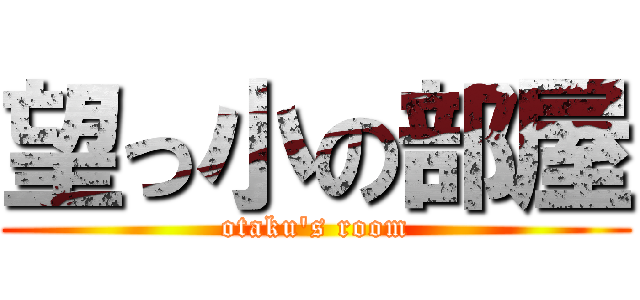 望っ小の部屋 (otaku's room)