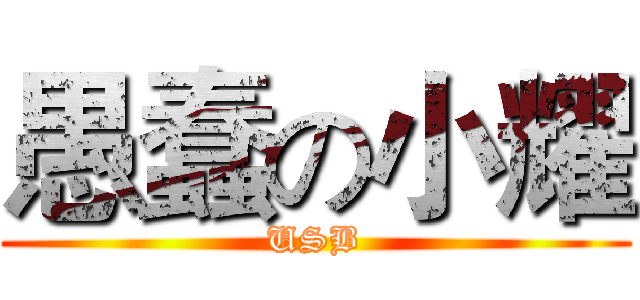 愚蠢の小耀 (USB)