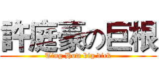 許庭豪の巨根 (Ting How big dick)