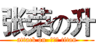 张荣の升 (attack on  ，，， titan)
