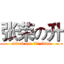 张荣の升 (attack on  ，，， titan)