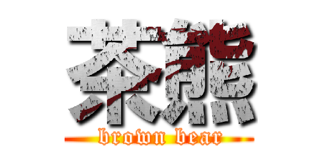 茶熊 ( brown bear)