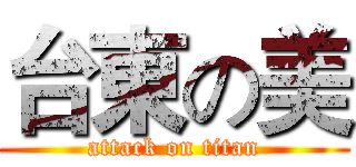 台東の美 (attack on titan)