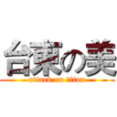 台東の美 (attack on titan)