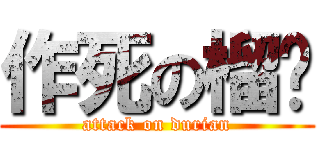 作死の榴槤 (attack on durian)